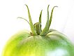 Filmzitat aus dem Liebesfilm "Grüne Tomaten" - ausgewählt von www.liebessprüche.eu