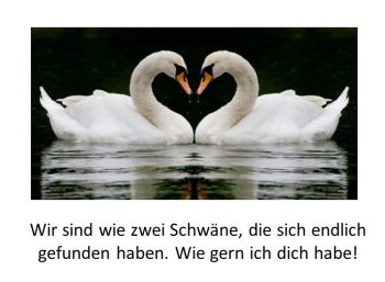 1 Ich mag dich Sprüche für Verliebte, romantische Stunden & Komplimente