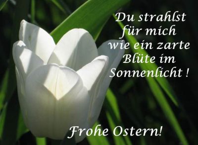 gute zitate politik