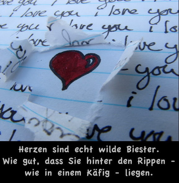 liebes sms rezepte