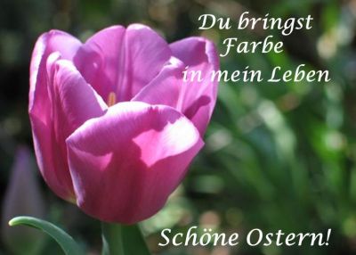 1 Lustige Ostersprüche, schöne Ostergrüße und OsterGrußkarten